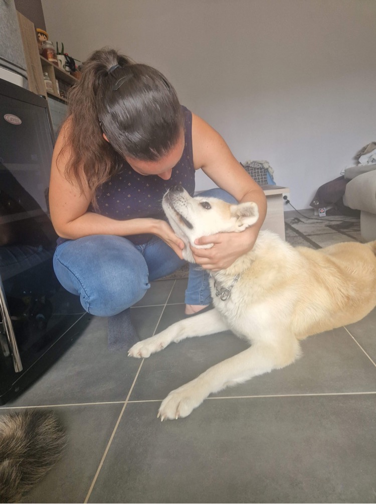 osteopathie canine